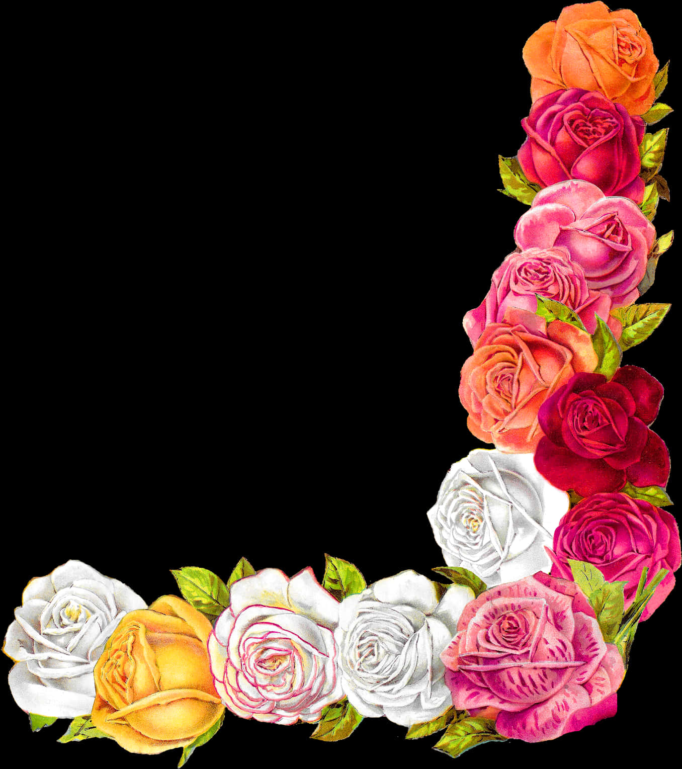 Colorful Rose Corner Design