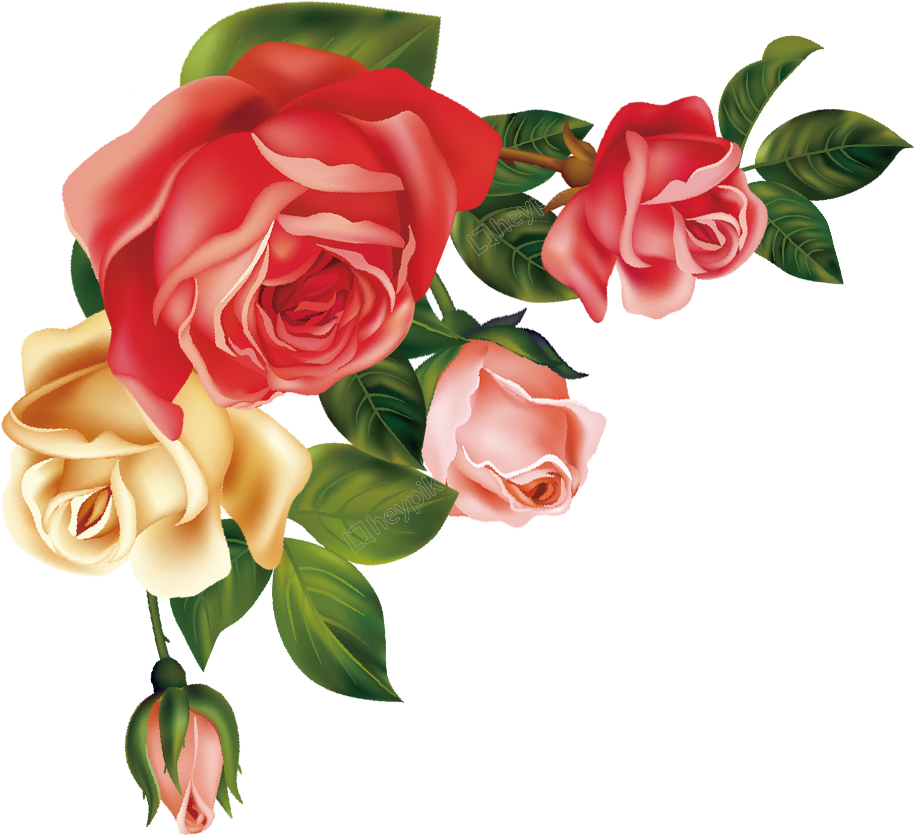 Colorful Rose Vector Illustration