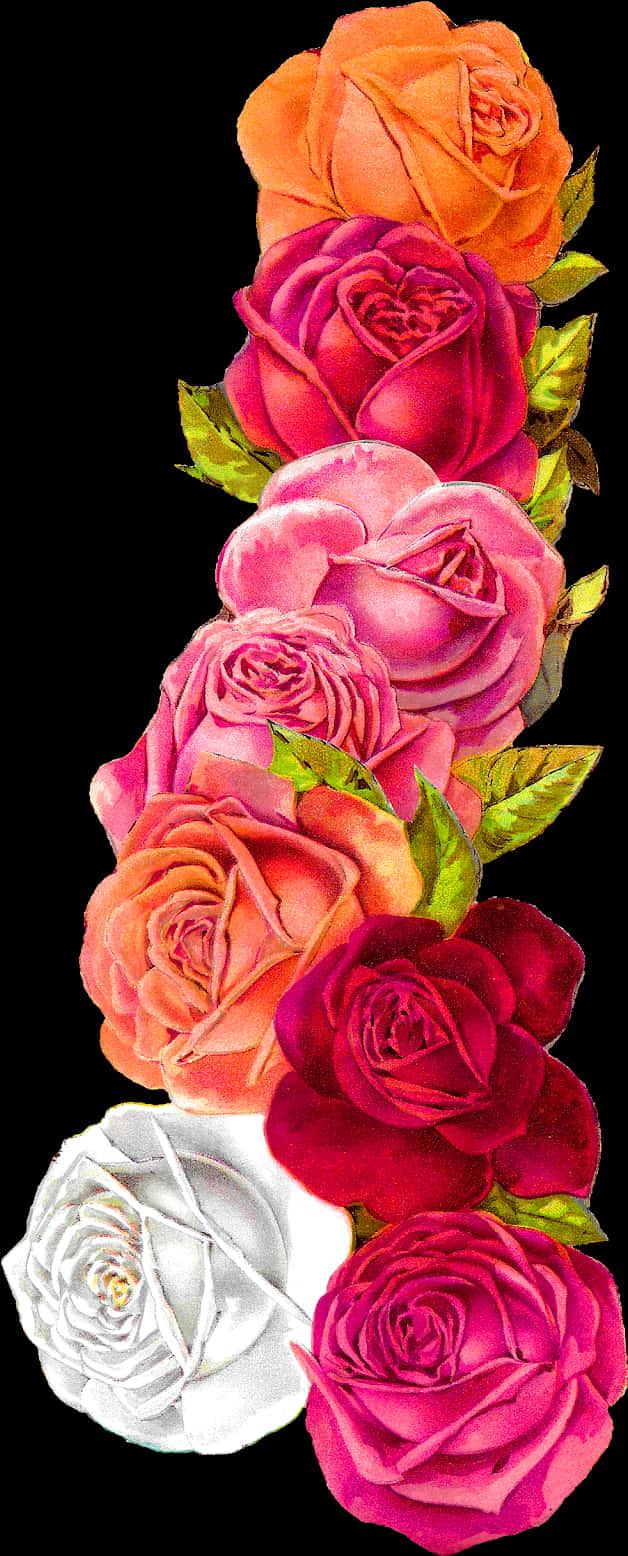 Colorful_ Roses_ Border_ Design