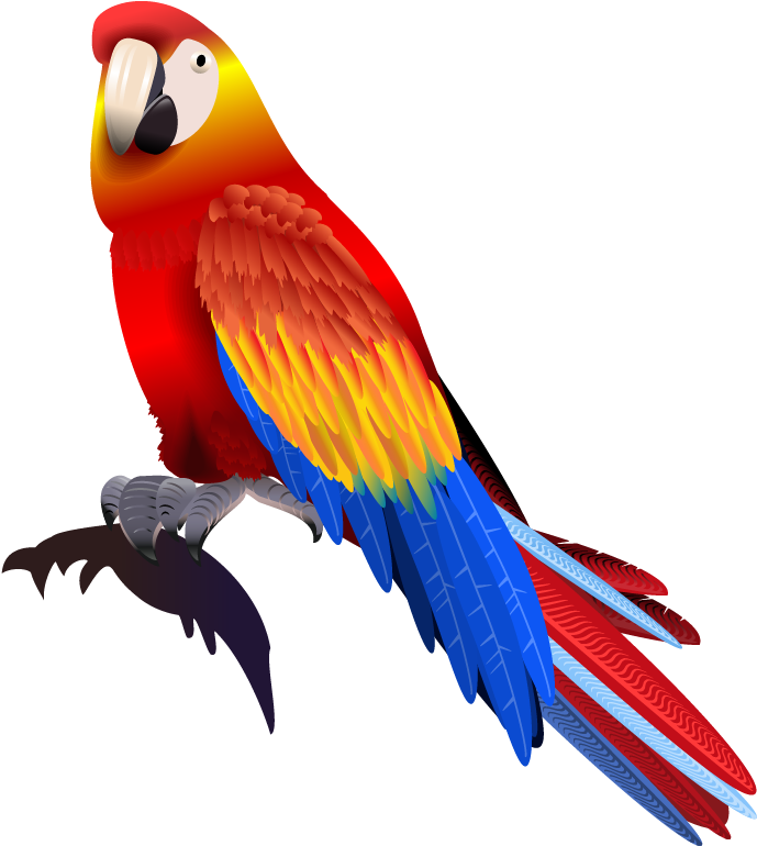 Colorful Scarlet Macaw Illustration