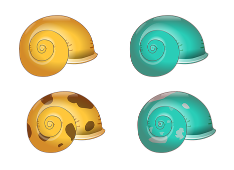 Colorful Sea Shells Illustration