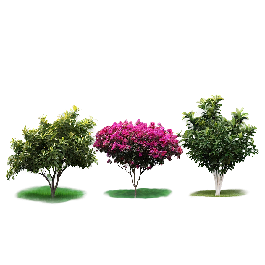 Colorful Shrubs Png 06122024