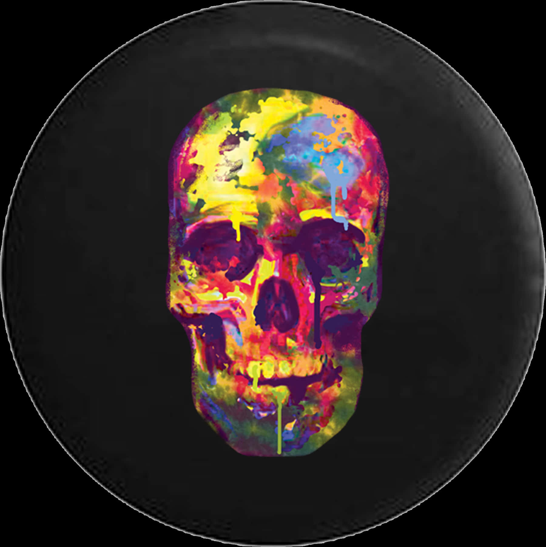 Colorful Skull Art Vinyl Record