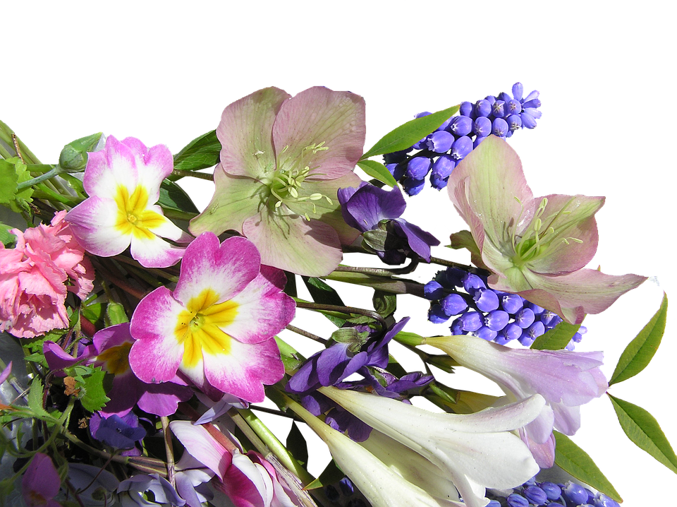 Colorful Spring Flowers Arrangement