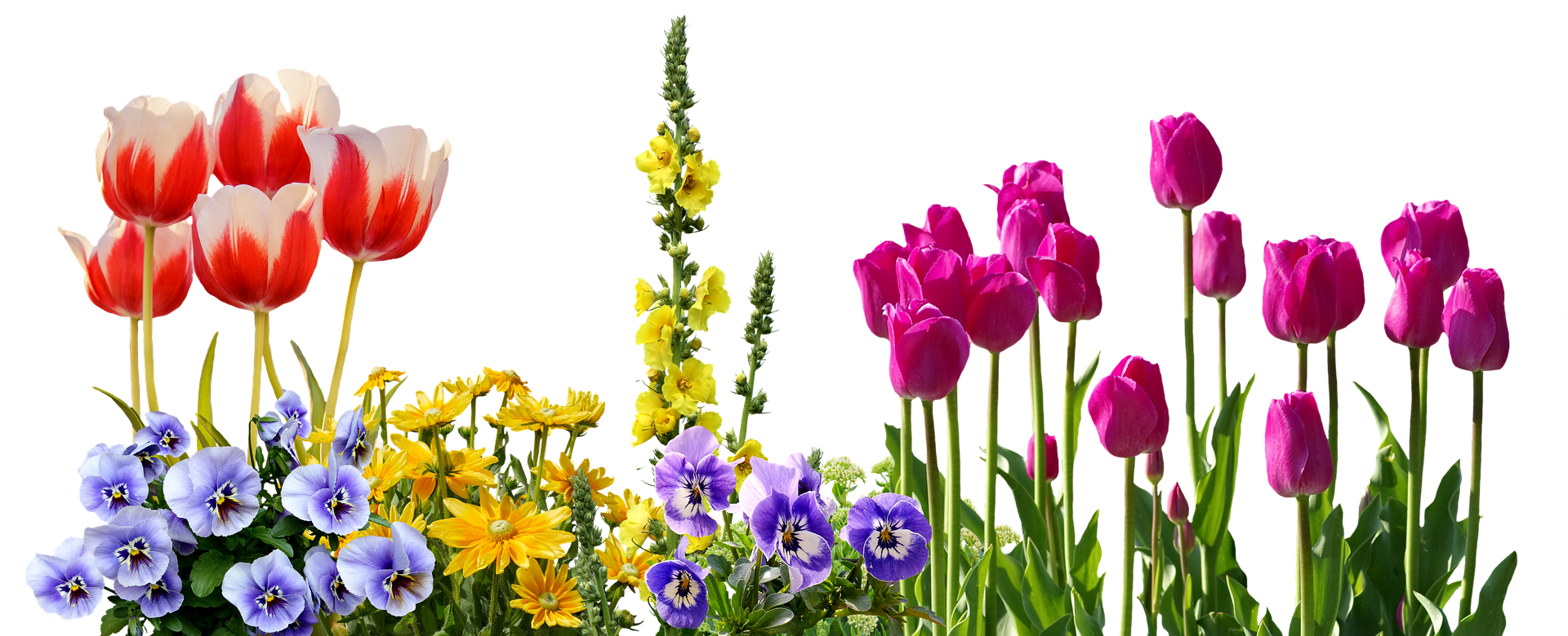 Colorful Spring Flowers Arrangement