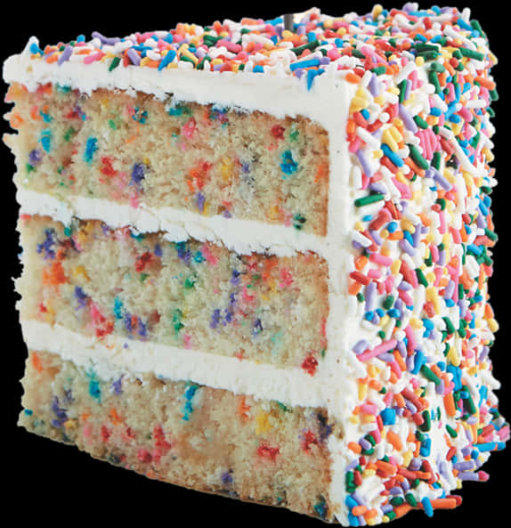 Colorful Sprinkle Cake Slice