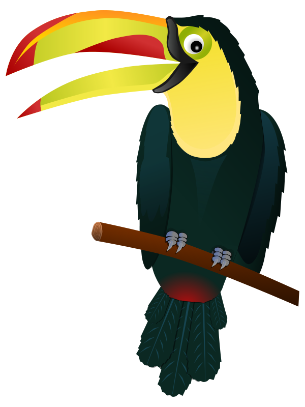 Colorful Toucan Illustration