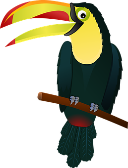 Colorful Toucan Vector Illustration