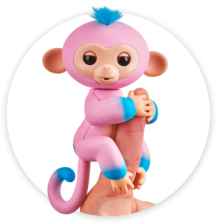 Colorful Toy Monkey Clinging