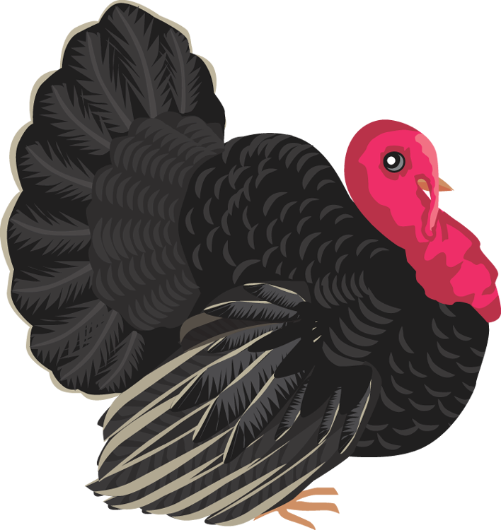 Colorful Turkey Clipart