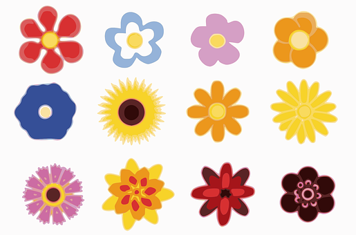 Colorful Vector Flowers Illustration