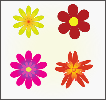 Colorful Vector Flowers Illustration