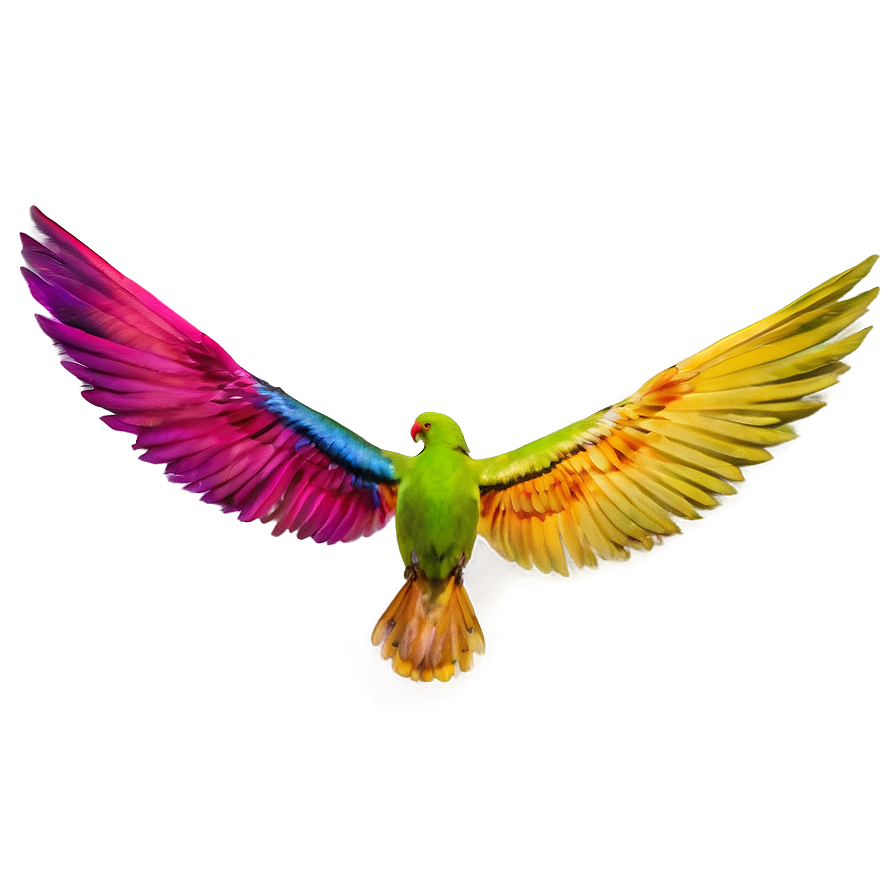 Colorful Wings Png 1