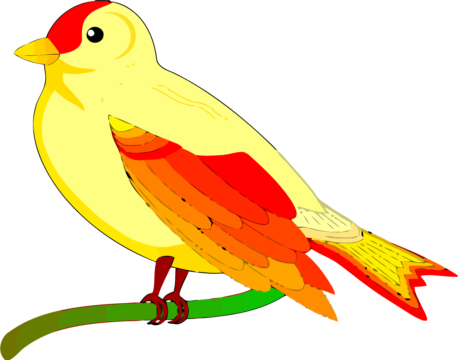 Colorful Yellow Bird Illustration