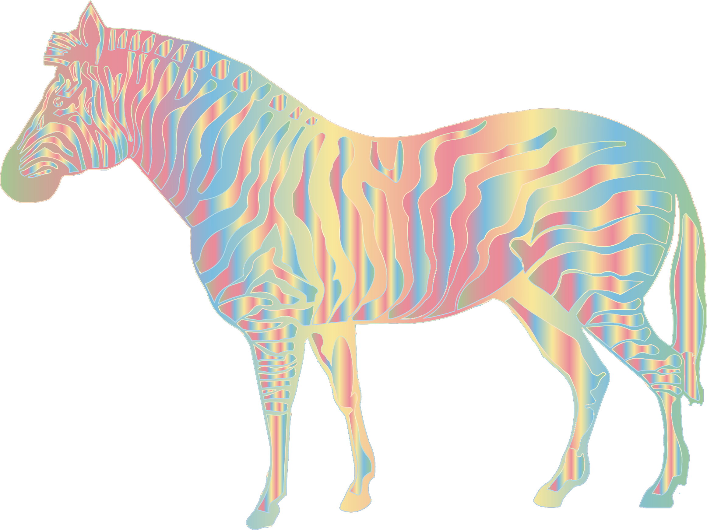 Colorful Zebra Artwork