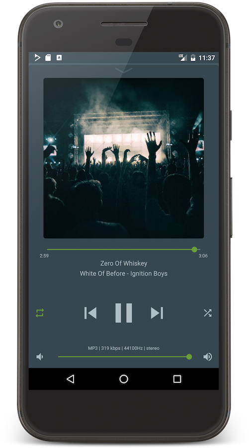 Concert Crowd_ Music Player App_ Screen