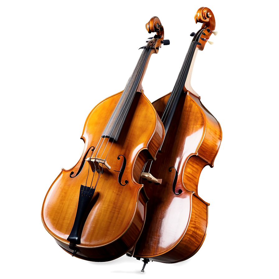 Concert Double Bass Png 06242024