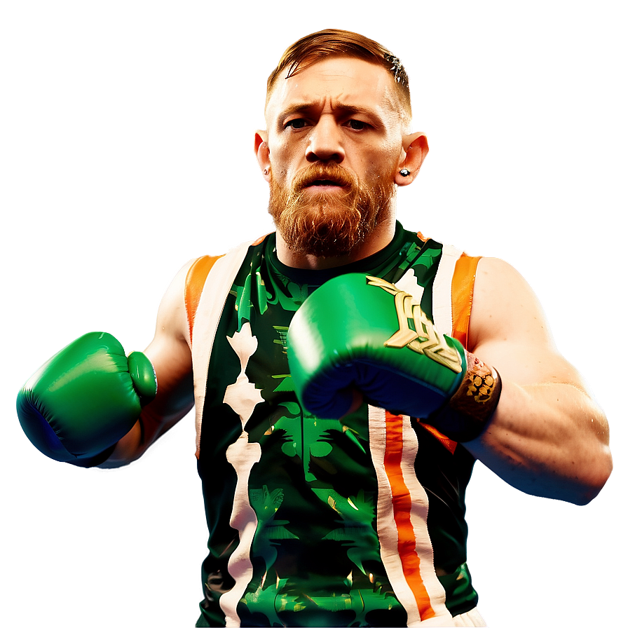 Conor Mcgregor In Fight Stance Png 35