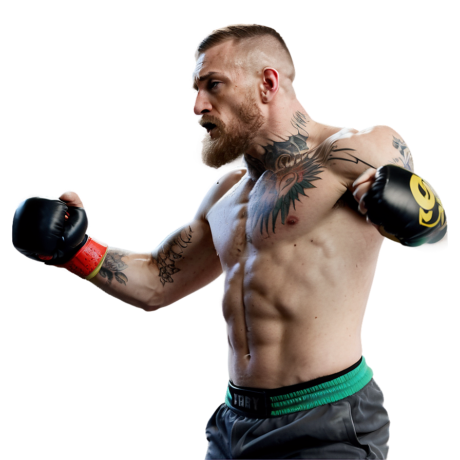 Conor Mcgregor In Fight Stance Png Dis75