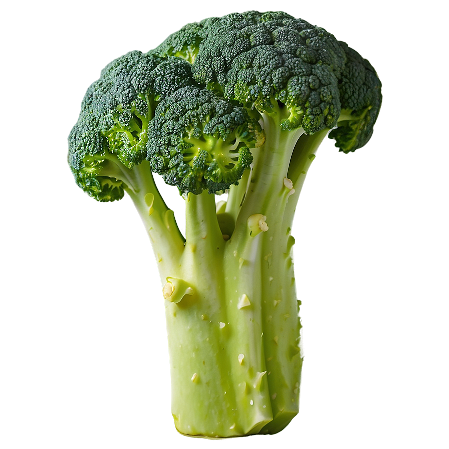 Cooked Broccoli Png Spy