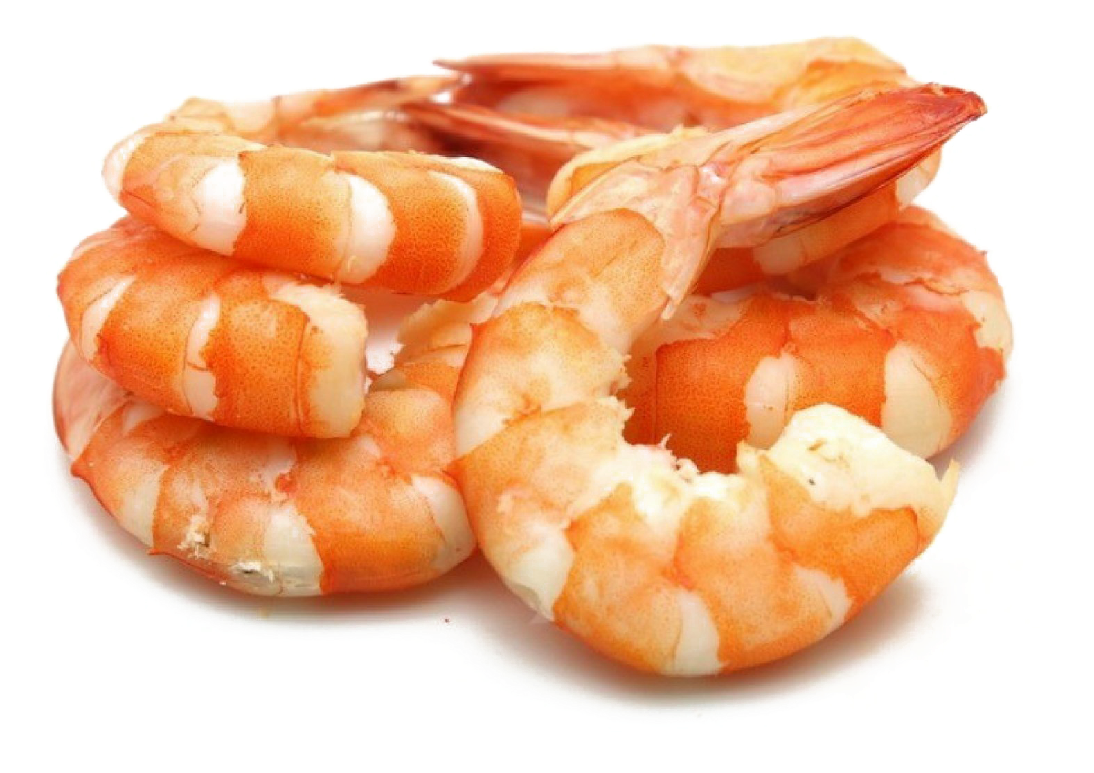 Cooked Shrimp Closeup.png