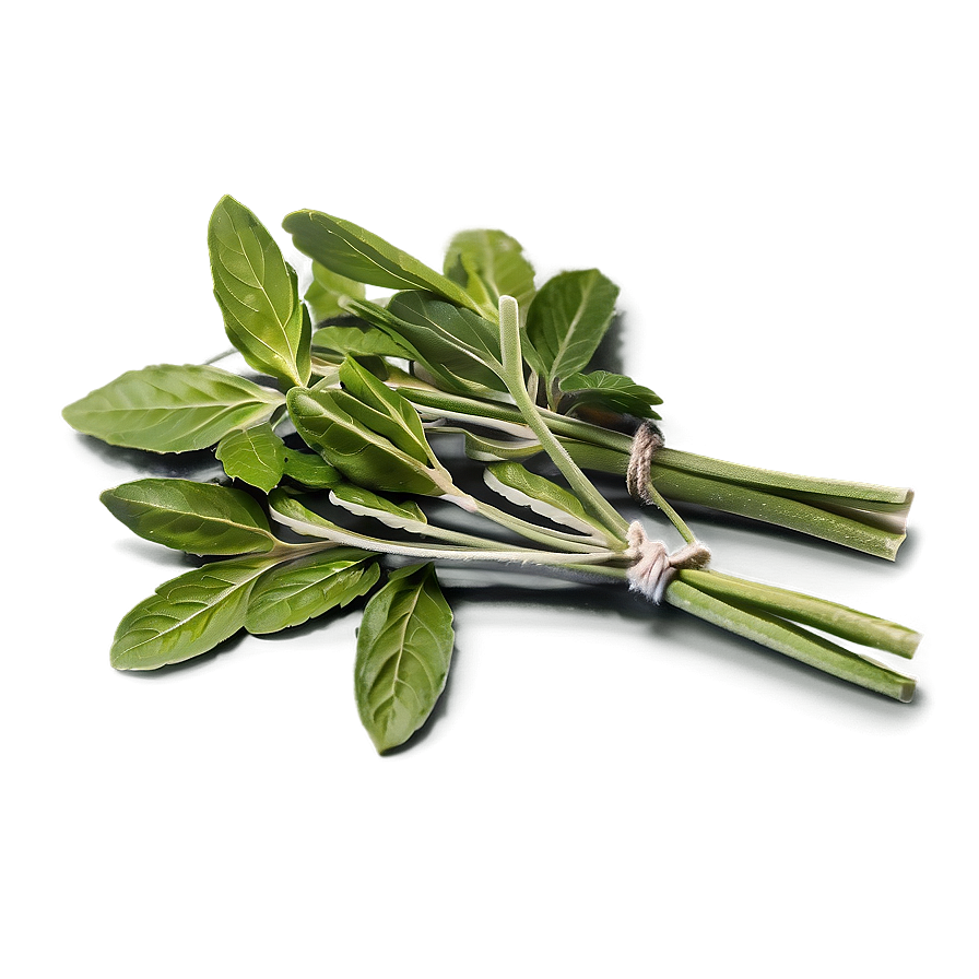 Cooking With Herbs Png Fmy