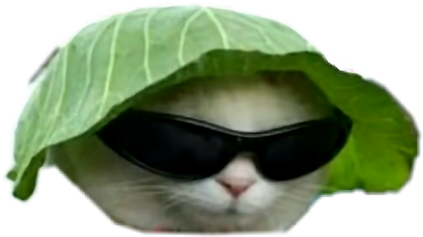 Cool Cat With Leaf Hatand Sunglasses.png