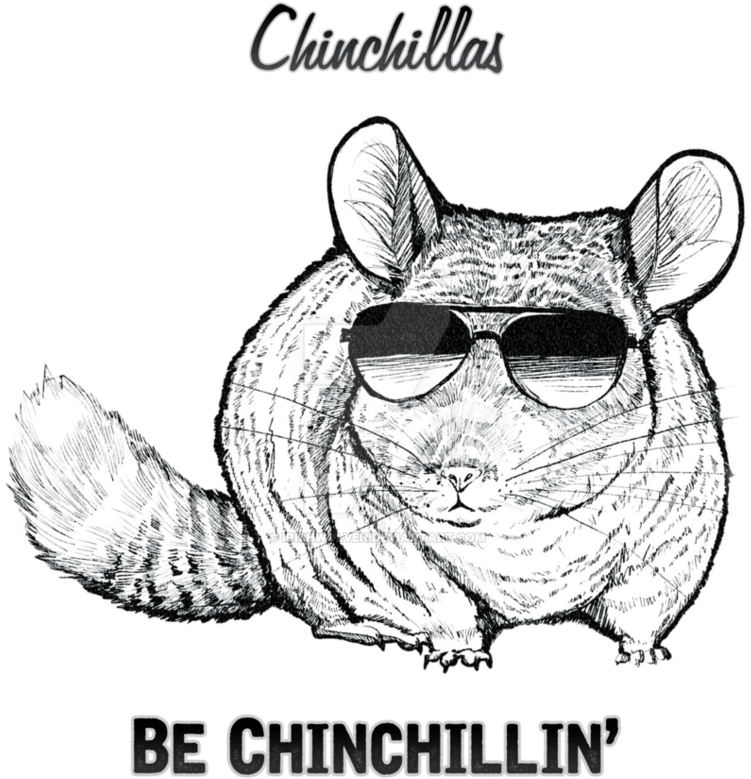 Cool Chinchilla Sunglasses Artwork