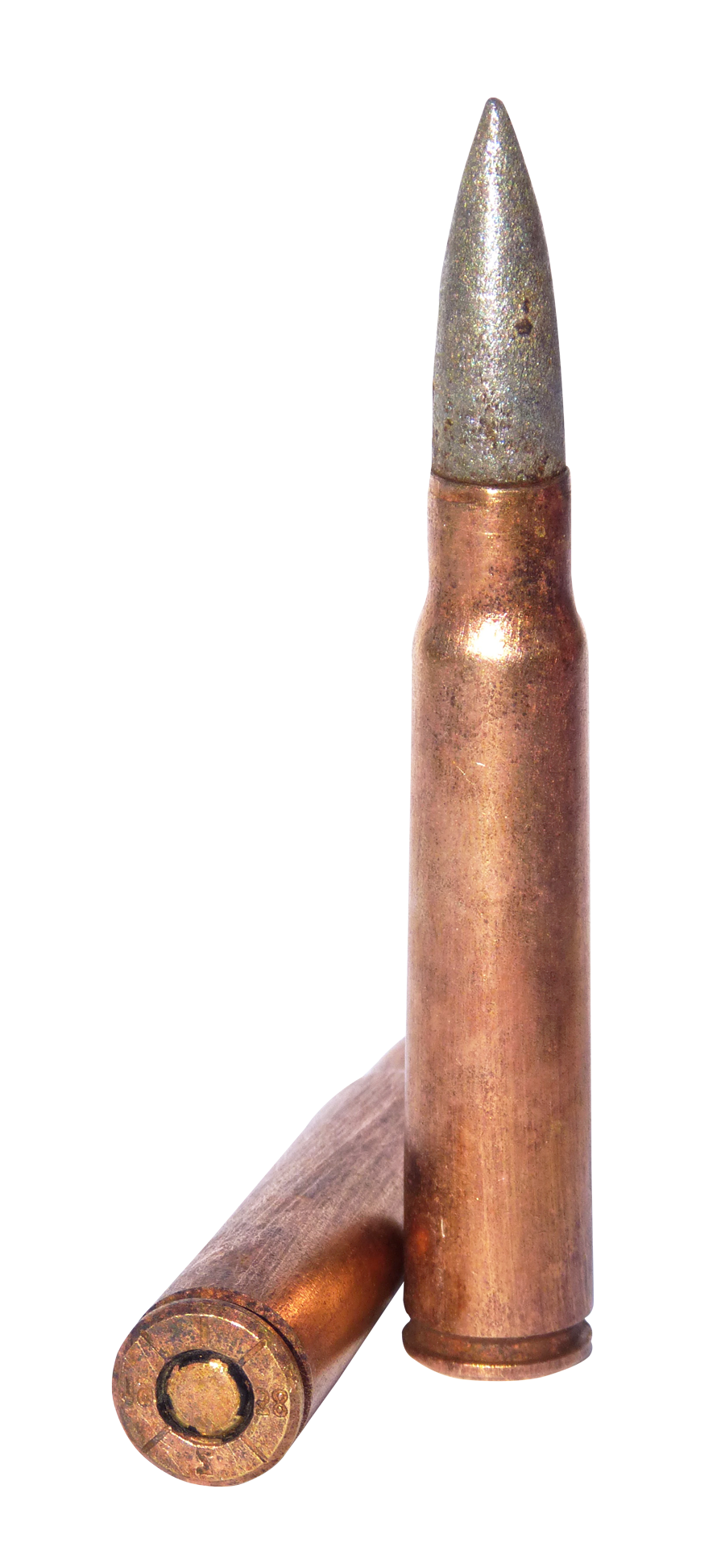 Copper Bullet Cartridge Standing