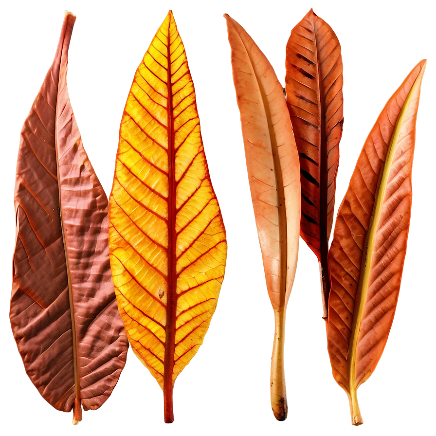 Copper Colored Leaves Png Yqw50