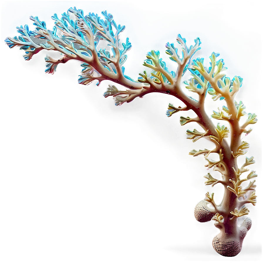 Coral Branch Underwater Png Wud41