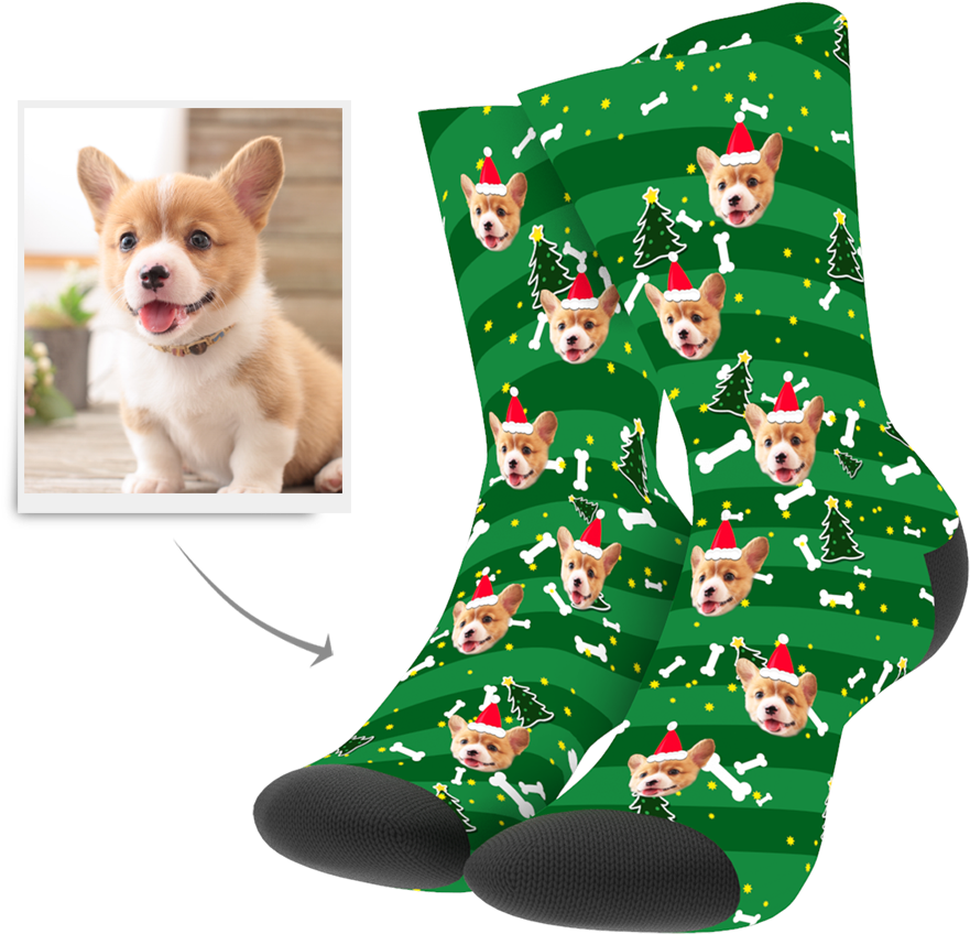 Corgi Christmas Socks Design