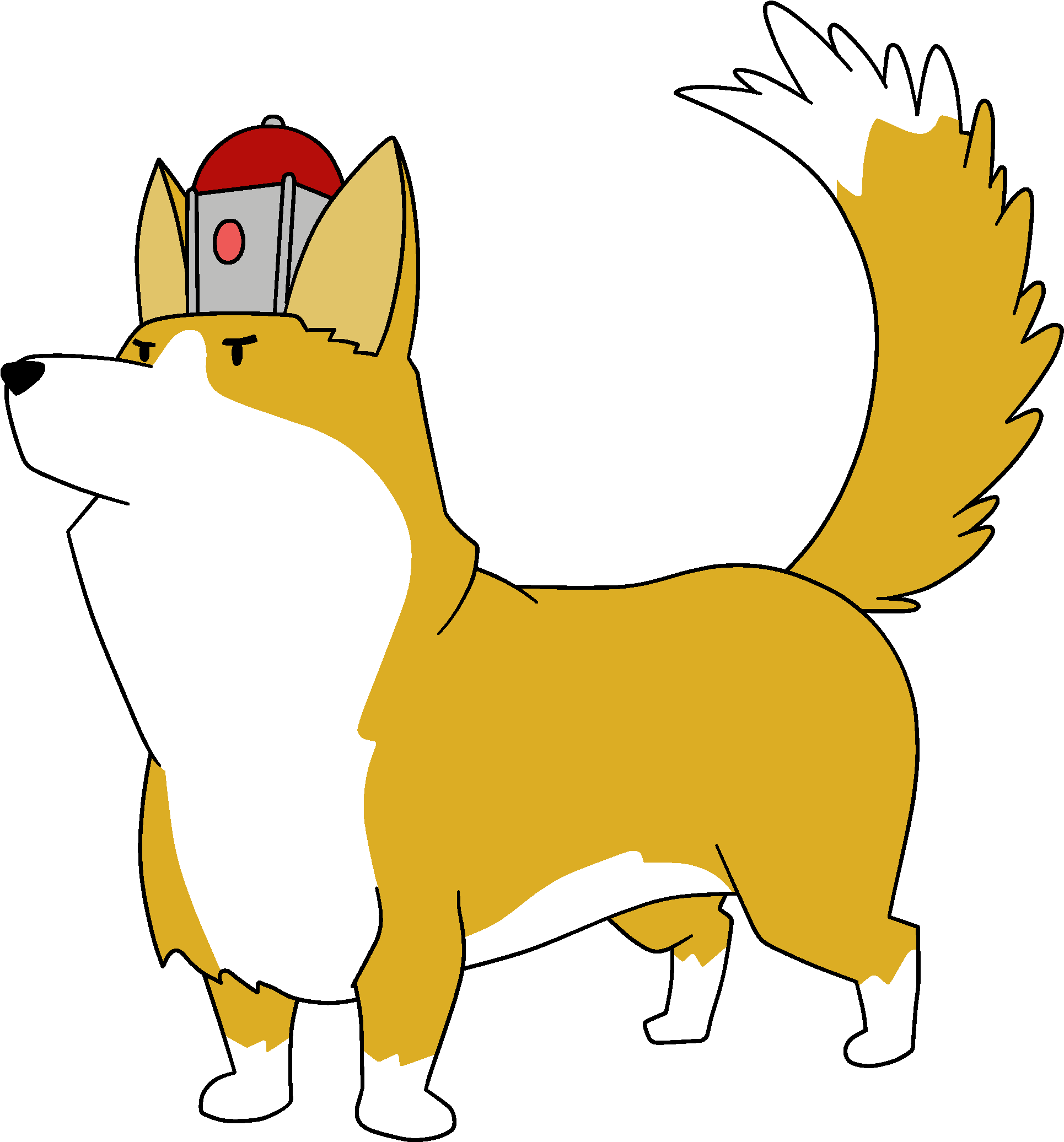 Corgiwith Pokeball Hat