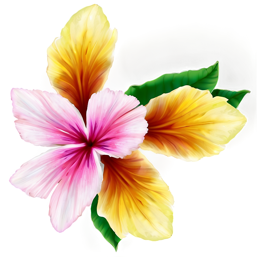 Corner Flower Fantasy Png 28