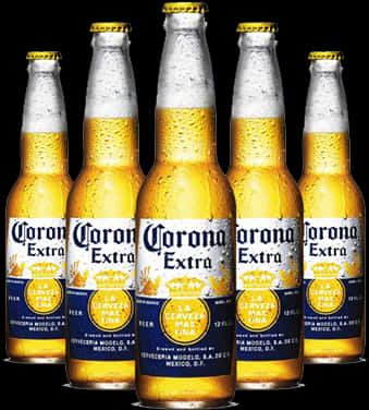 Corona Extra Beer Bottles