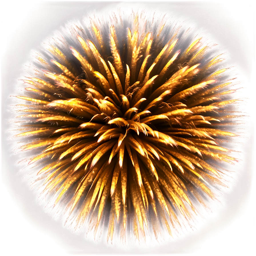 Cosmic Gold Fireworks Png 06292024