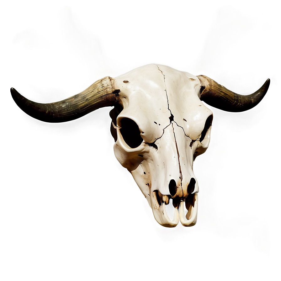 Cow Skull Silhouette Png 06132024