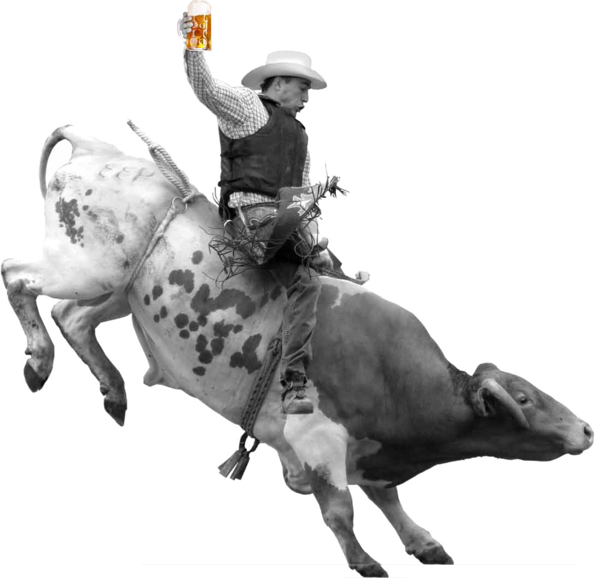 Cowboy Riding Bull With Beer