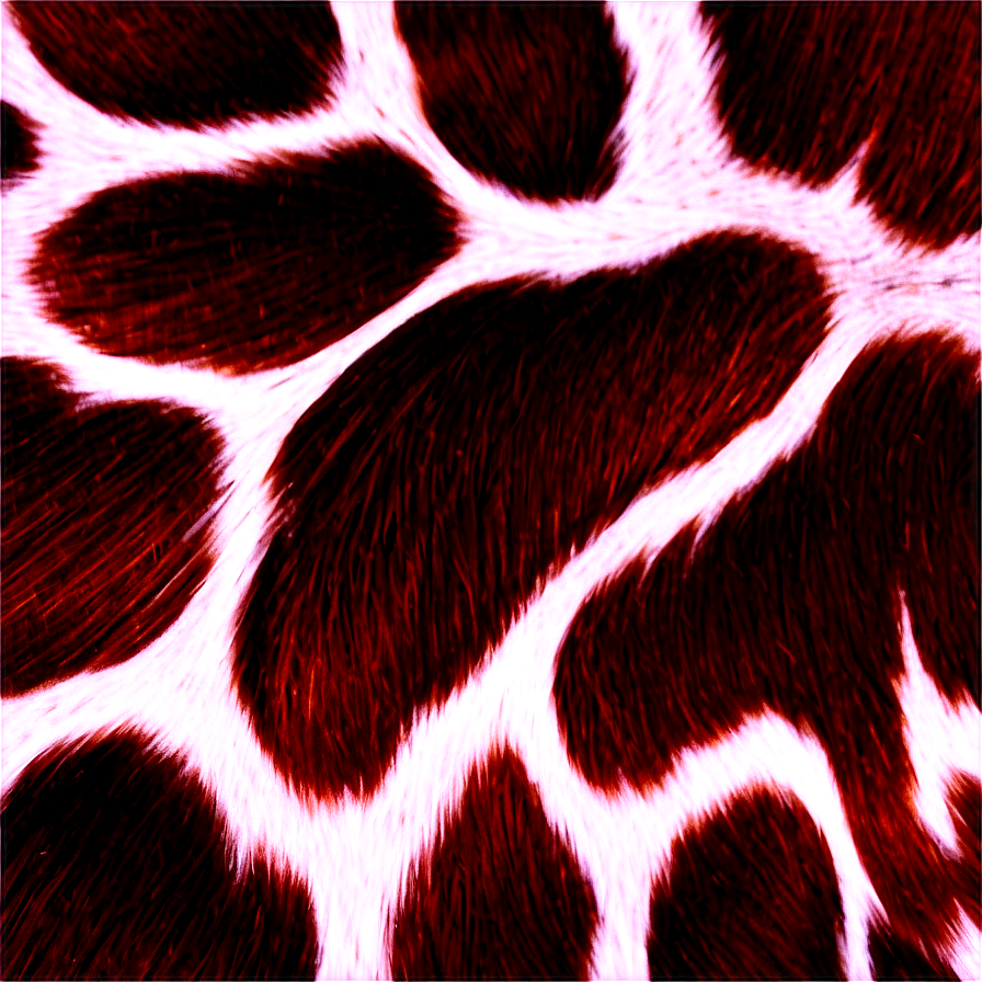 Cowhide Spots Clipart Png Wid