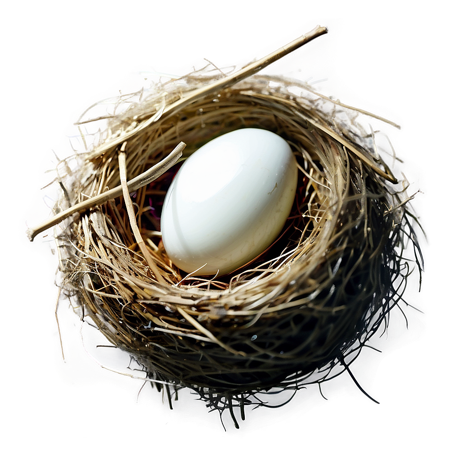 Cozy Bird Nest Png Mmg