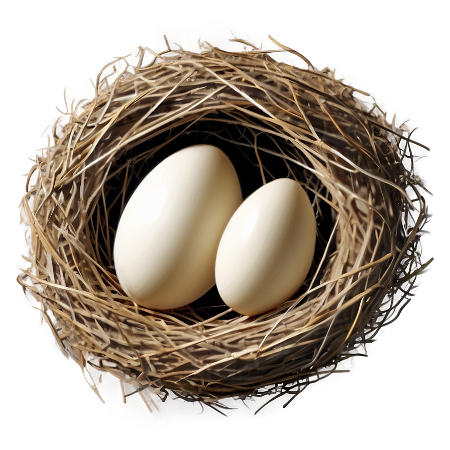 Cozy Bird Nest Png Nur