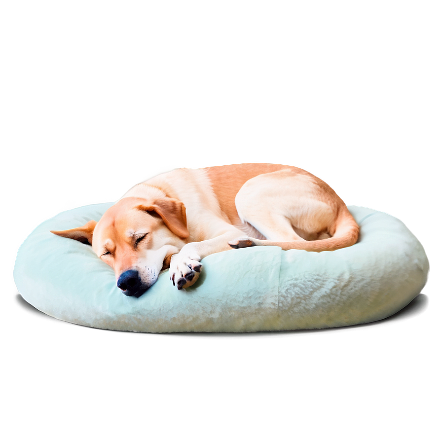 Cozy Sleeping Dog Png 05232024