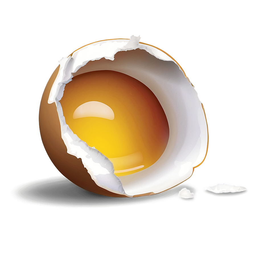 Cracked Eggshell Illustration Png Olm