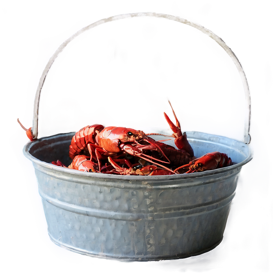 Crawfish In A Bucket Png 06122024