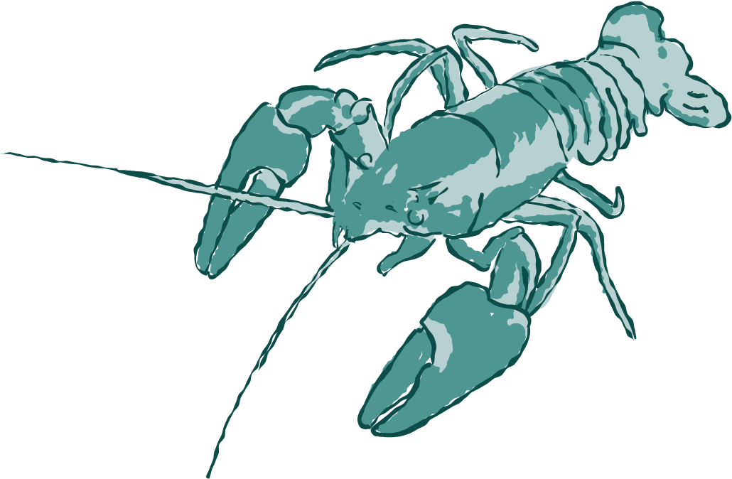 Crayfish Illustration Artwork