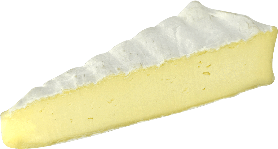 Creamy Cheesecake Slice Isolated