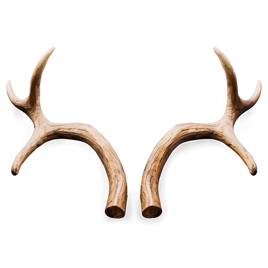 Creative Deer Antler Shape Png 06122024