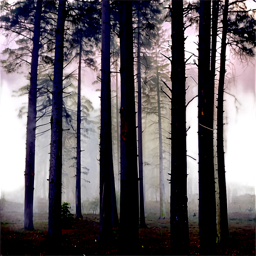 Creepy Fogged Trees Png Drb96