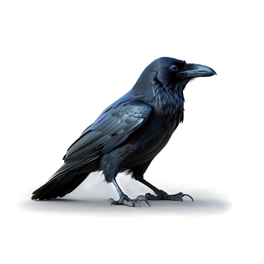 Creepy Raven In Fog Png Lug27