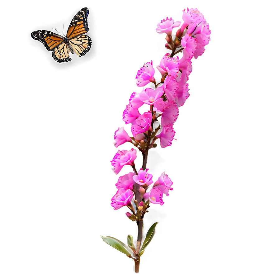 Crepe Myrtle With Butterflies Png Urx